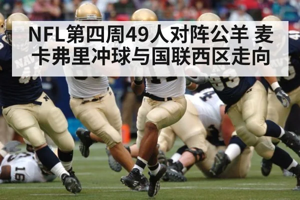 american football running back（hth）
